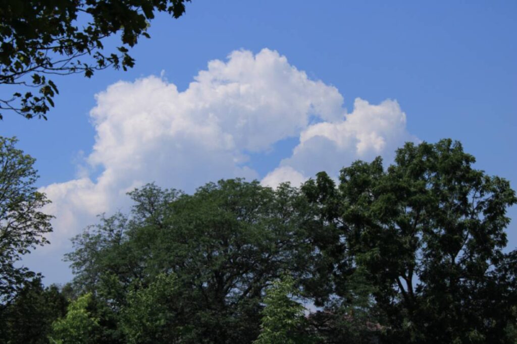 Clouds over 2 bushes of trees